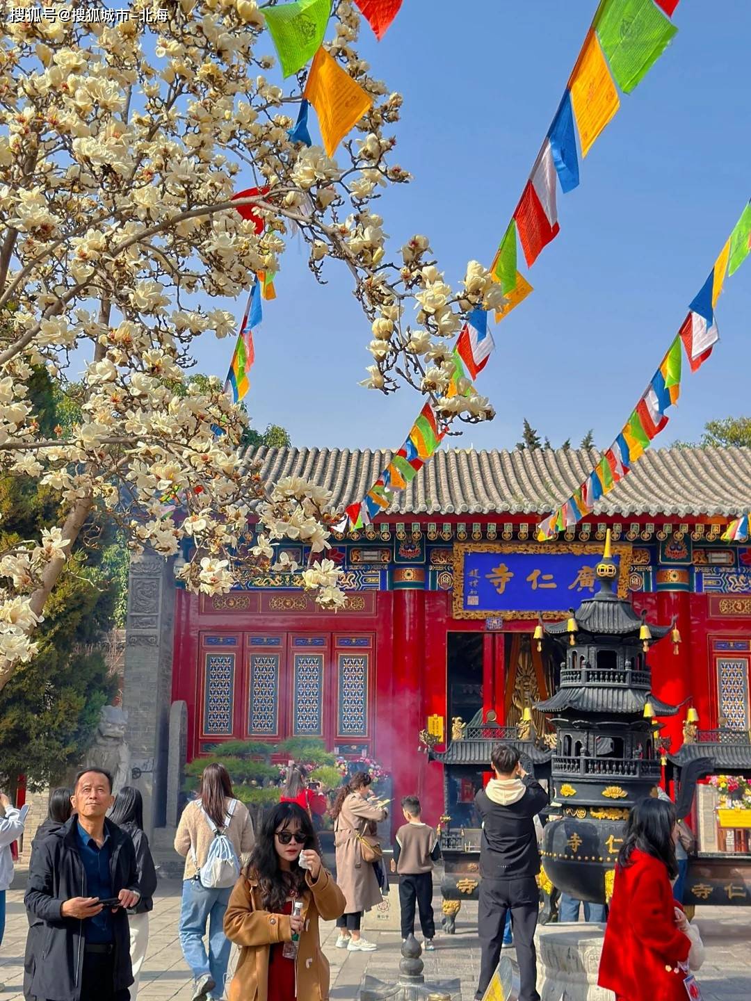近期西安适合老年人玩的地方？近期前往西安旅游需要多少钱_住宿_旅行_费用