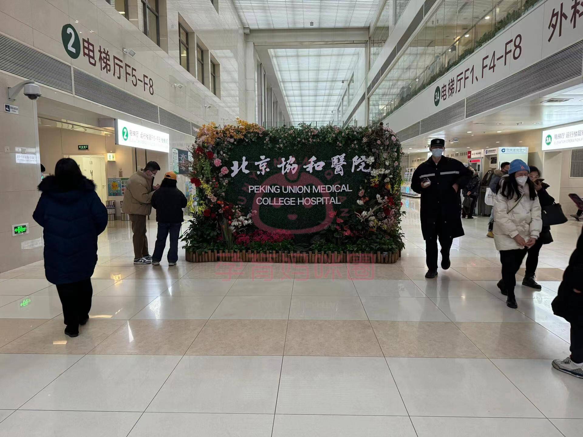 北京协和医院 实拍图片