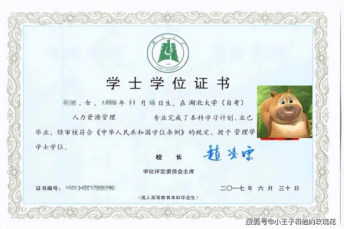 规划,免考办理,毕业申请办理,考前重点资料,精准押题,毕业+学位申请