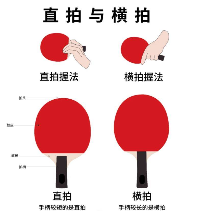 乒乓球正确握拍方法图片