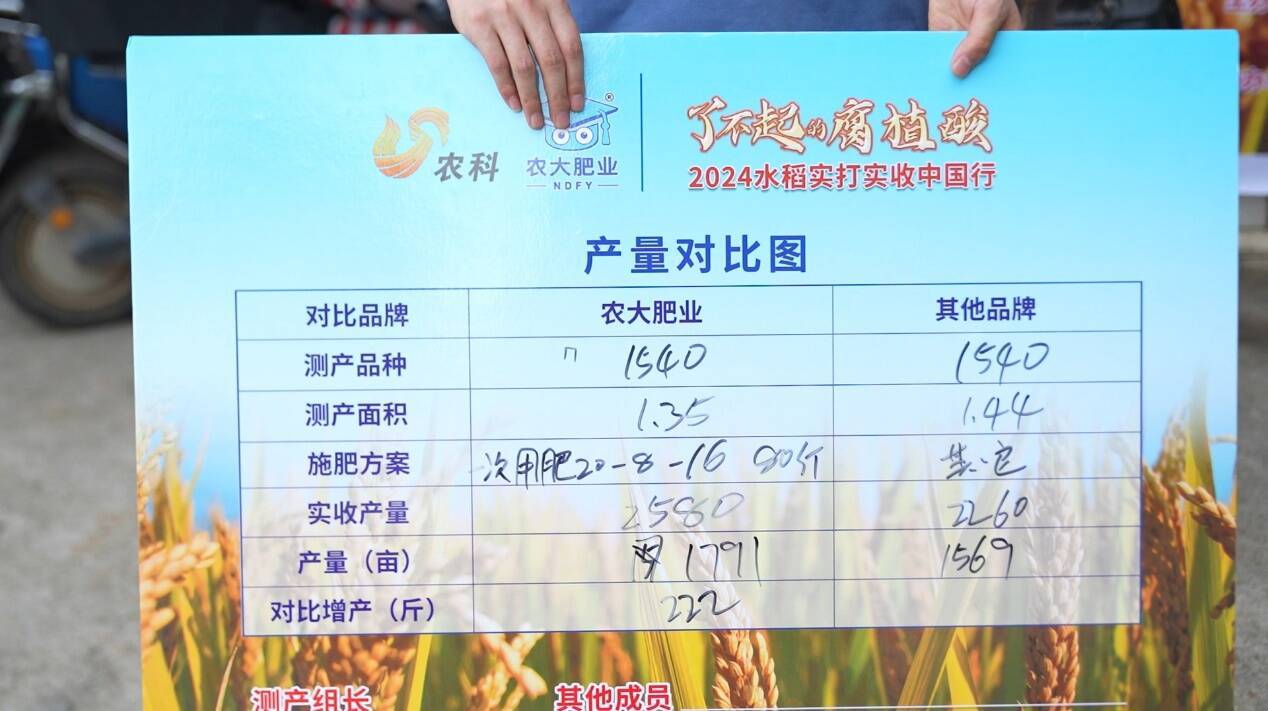 水稻_进行_种植户