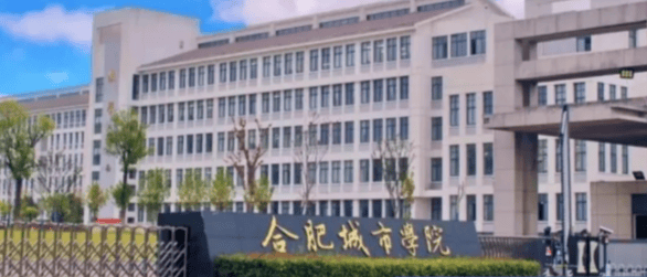 2024年合肥城市学院成人高考本科报名方法 报名流程 报名方式 专业选