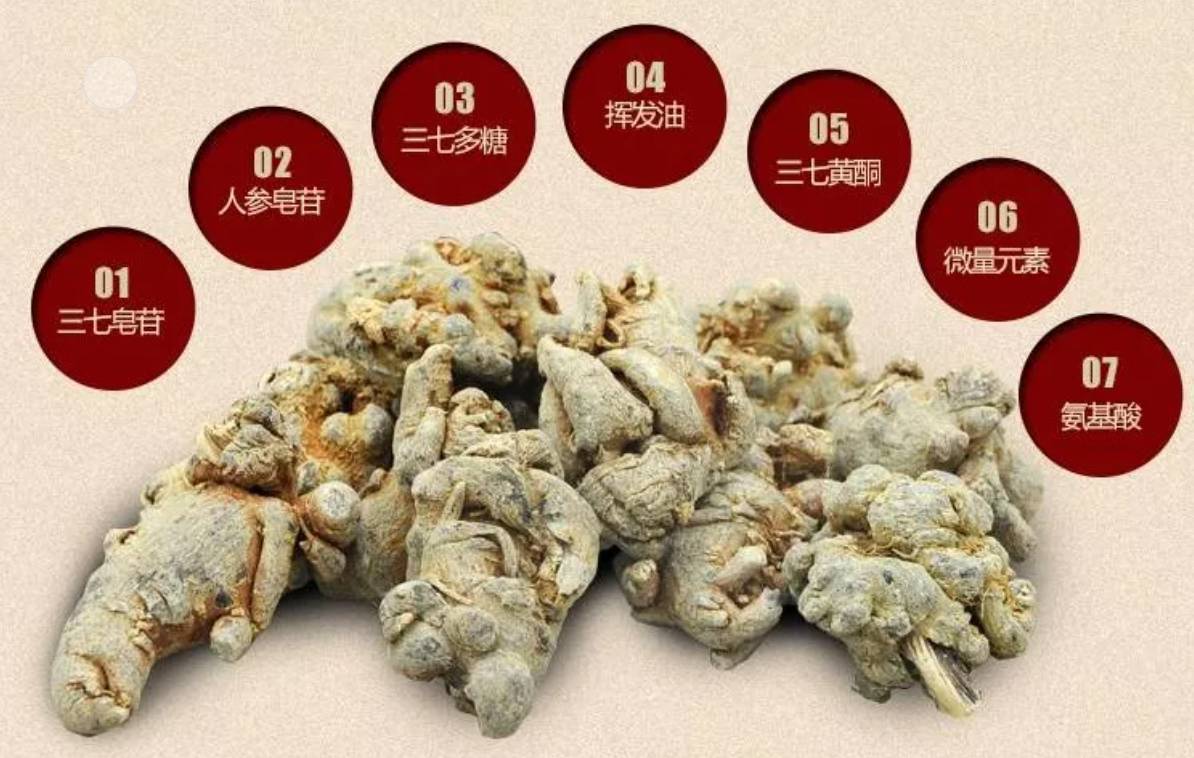 三七的功效和作用主治 准备吃三七粉的先看完