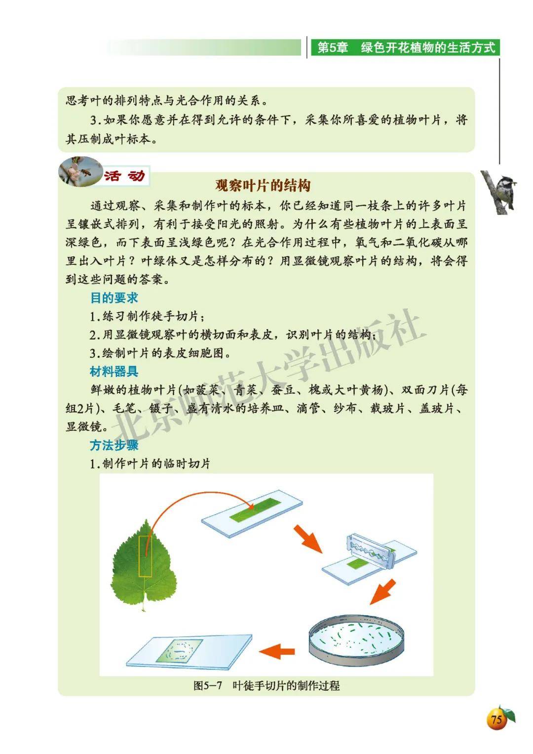 初中生物七年级上册电子课本北师大版