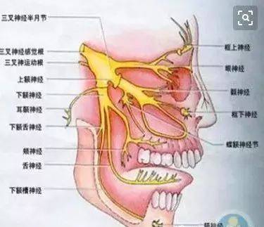扶引汤:从"眼睑痉挛"到"面肌痉挛",我们是如何误会"梅杰综合征"的?