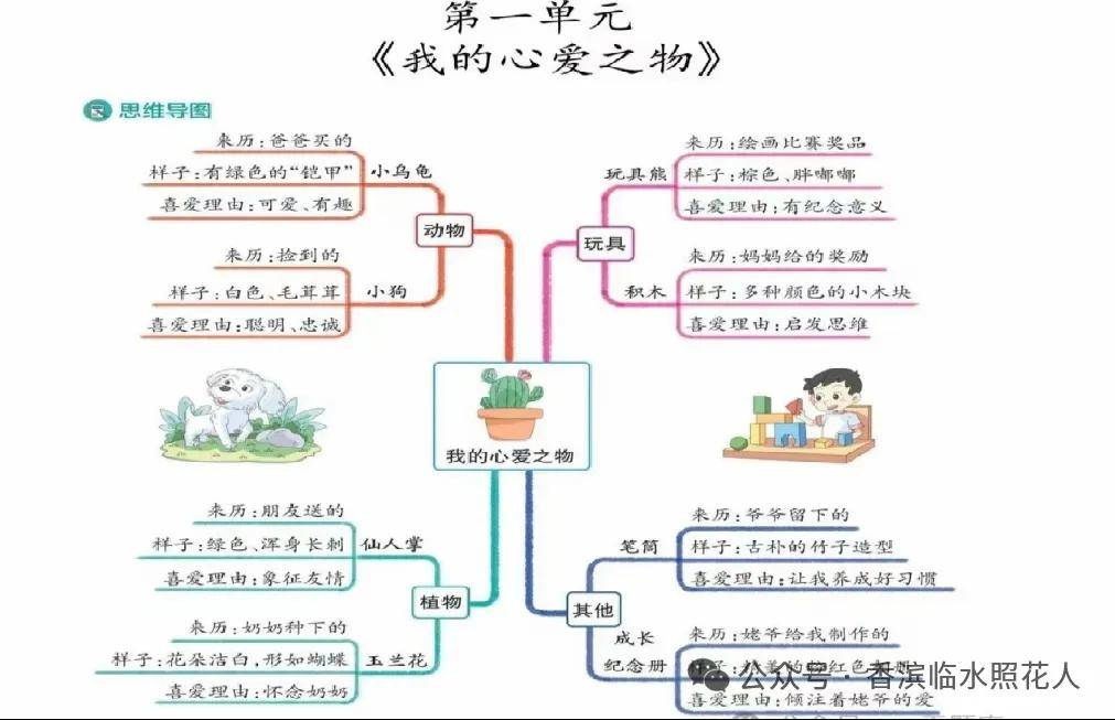 我的心爱之物提纲图片