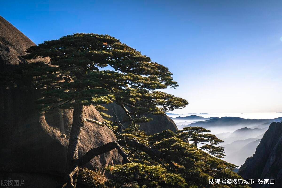 黄山婺源旅游攻略三日游，带爸妈黄山三日游最佳攻略-第2张图片-旅游大全网