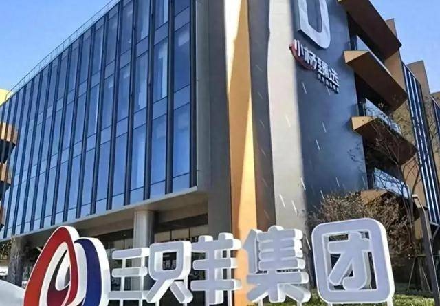 辛巴和三只羊直播带货起冲突，小杨哥账号一个月掉粉超70万！-辛巴和小鹿