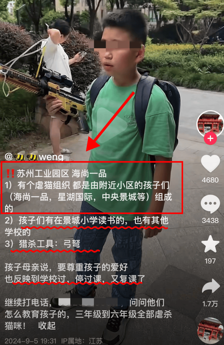 小孩自曝虐猫还称以杀猫为傲,男孩母亲:尊重孩子爱好