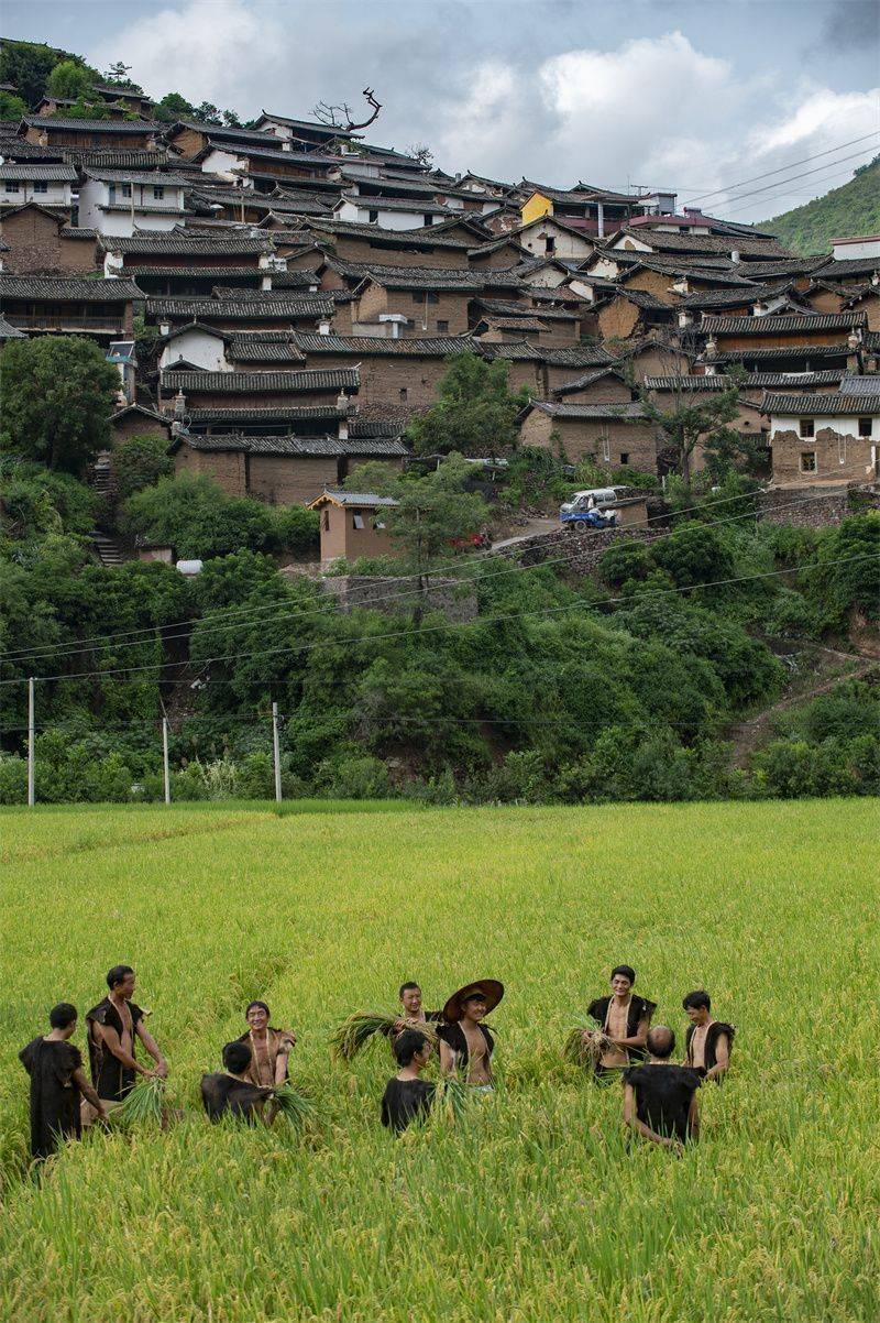 云南农村真实的图片图片