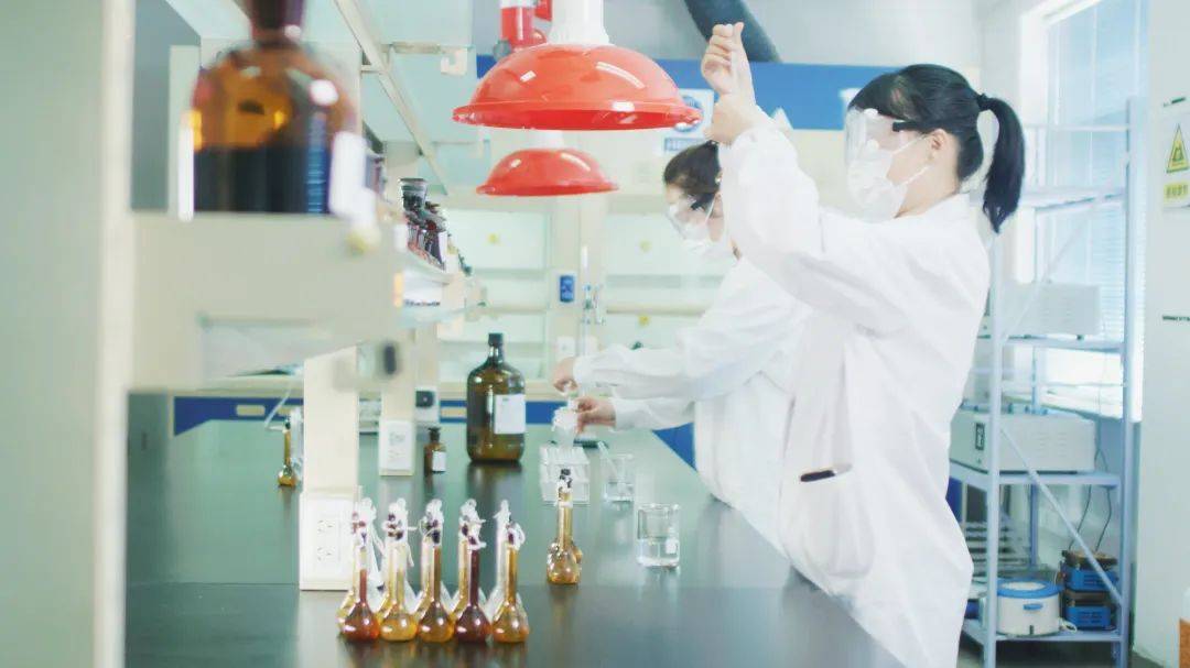 中关村科技:备受关注!投资者调研揭示发展新动向