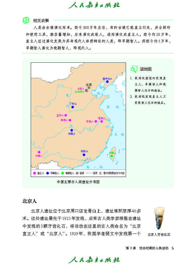 2024秋七年级历史上册电子课本最新高清版,可直接下载打印