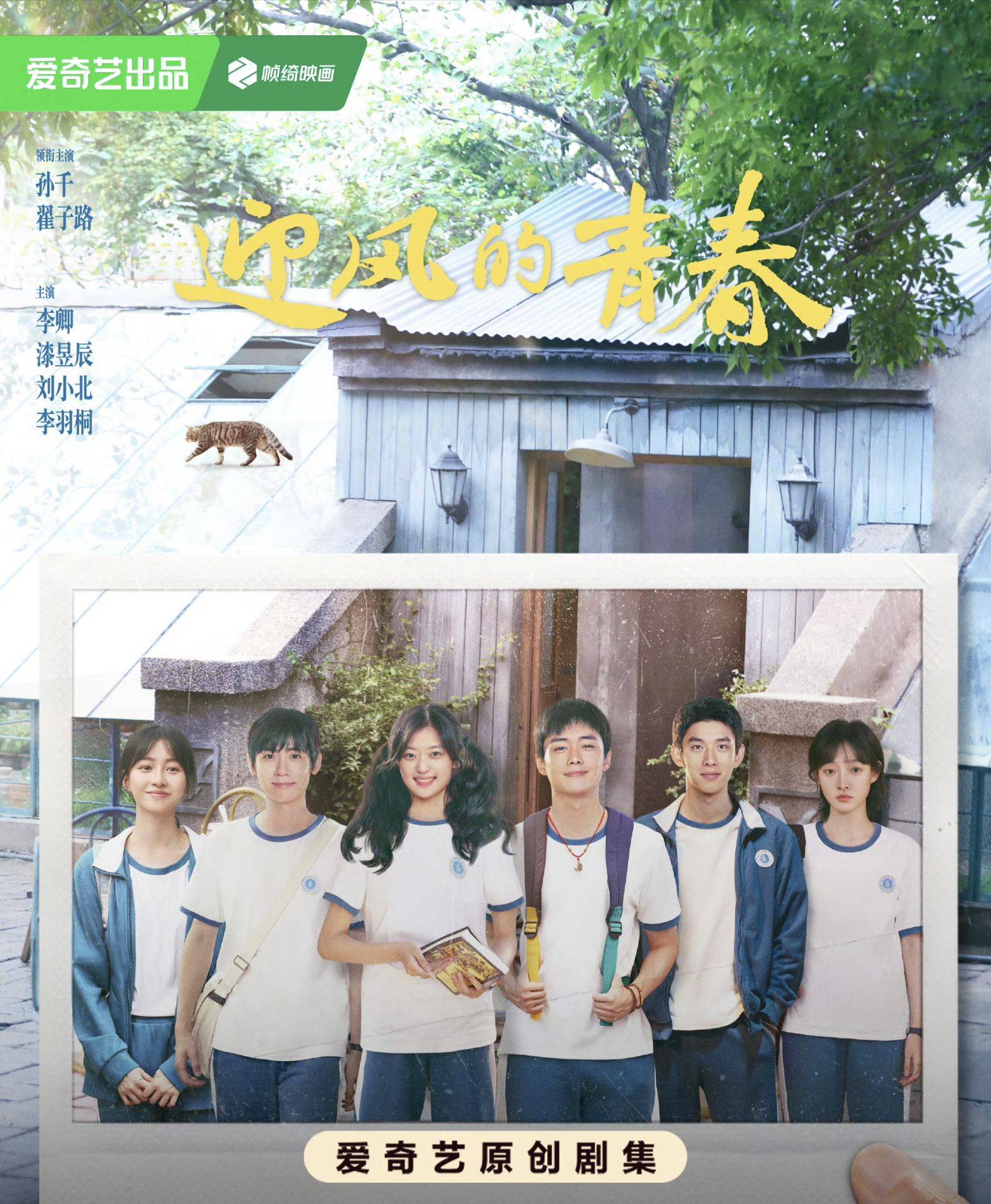 《迎风的青春》逗趣日常笑掉大牙,网友:下饭神剧,好看!