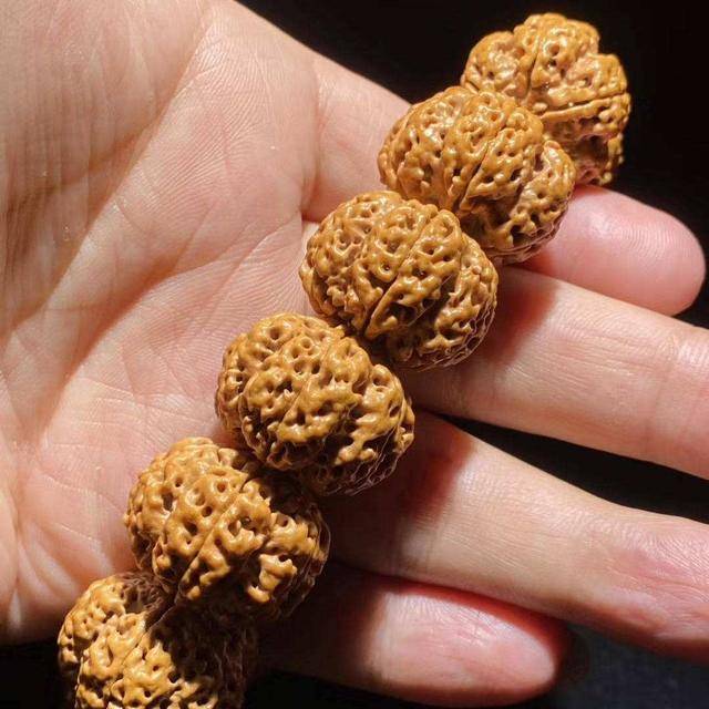 嘘！我才不会告诉你，金刚菩提上色，需要经历这5个阶段呢！_搜狐网