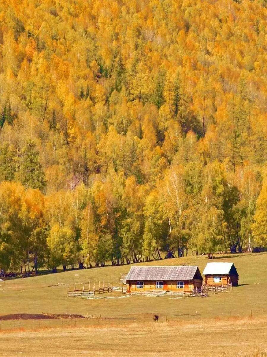 图片[3]-秋色撩人，这九个地方美爆了！-华闻时空