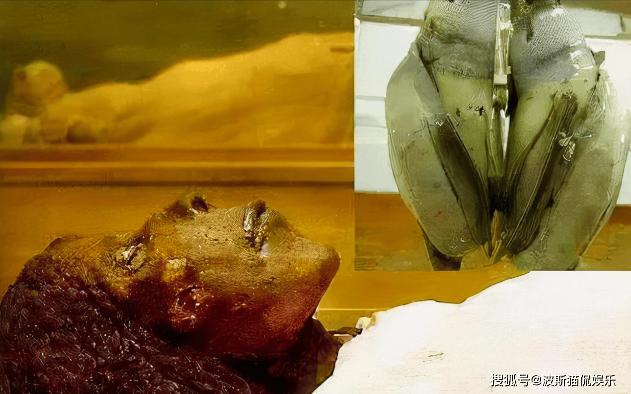 非洲发现5万年前人造心脏,是史前文明产物,还是外星人的杰作?