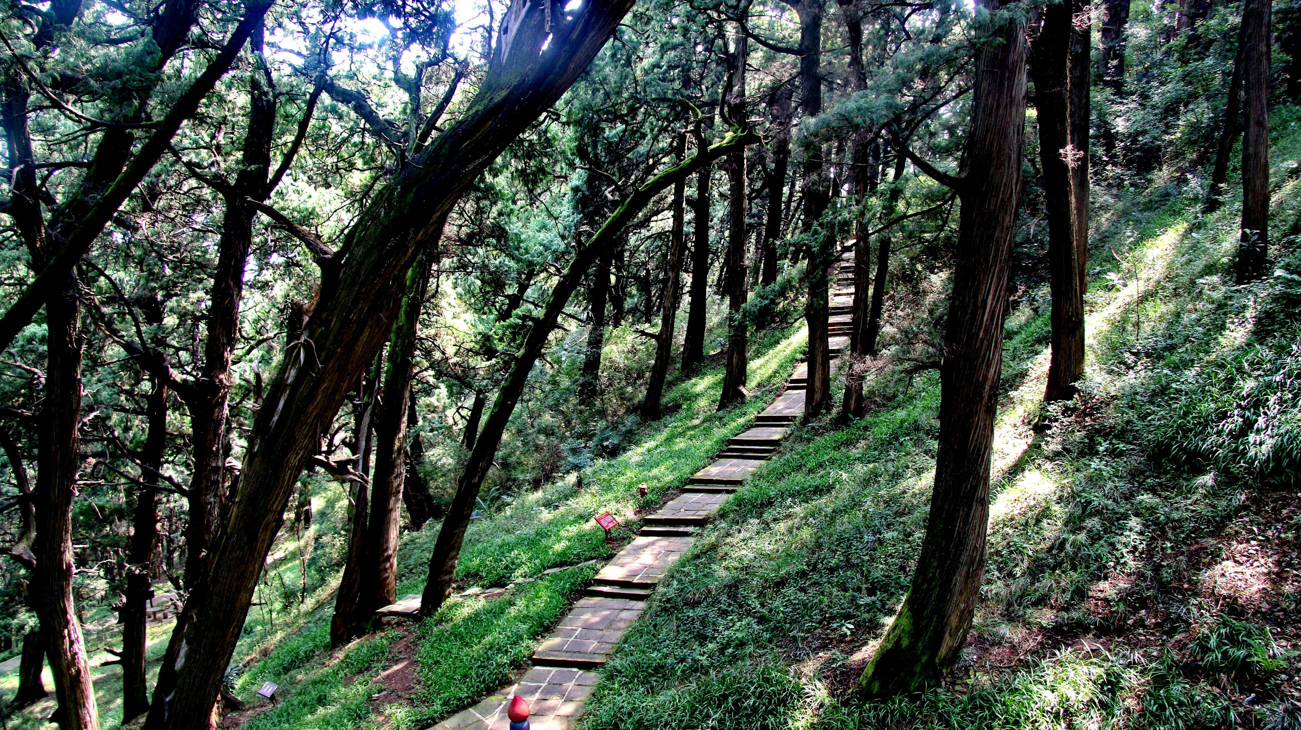 风景名胜70四川梓潼