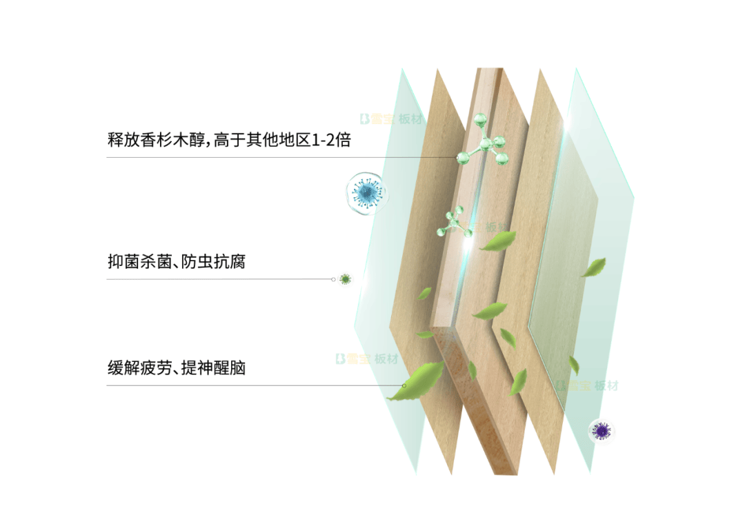 泰尔美生态板图片