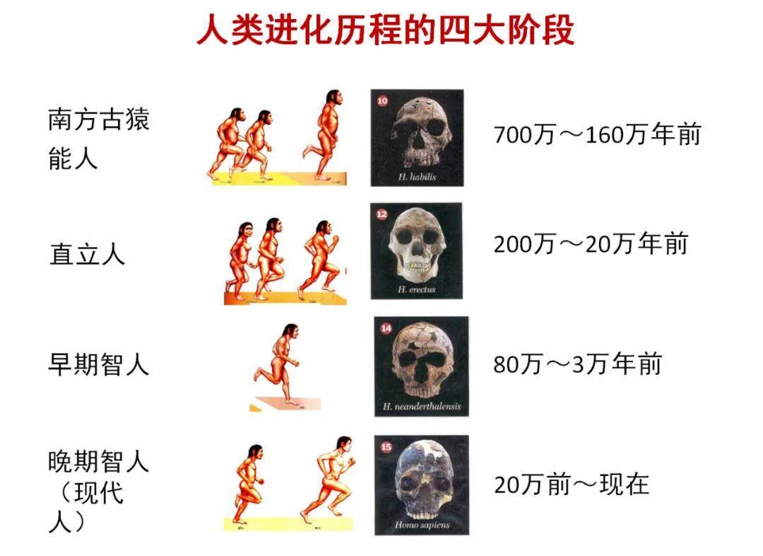 人类起源 智人 电影图片