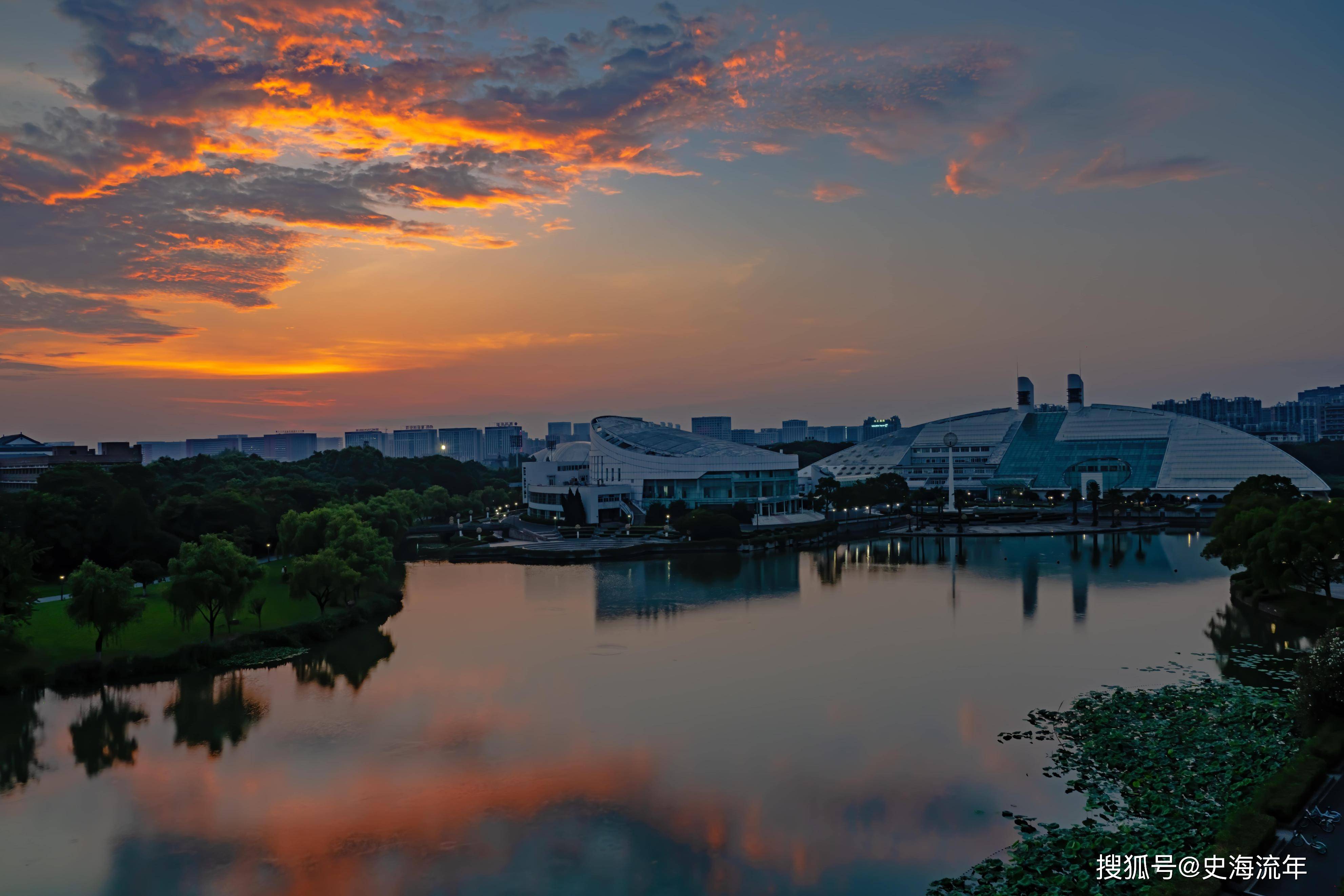原创            浙大2025保研率出炉，约36%成功上岸，五年保研率揭秘-浙大保研人数统计
