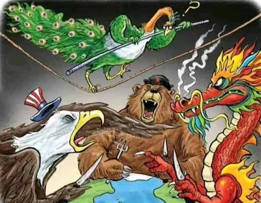 印度媒体发表的一幅漫画"瓜分世界",隐藏着印度什么样的雄心?