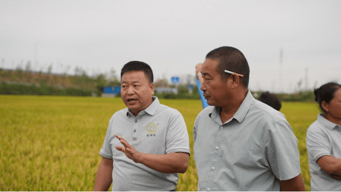 湖南粒粒饱常德临澧站,水稻种植技术交流与成果观摩盛会