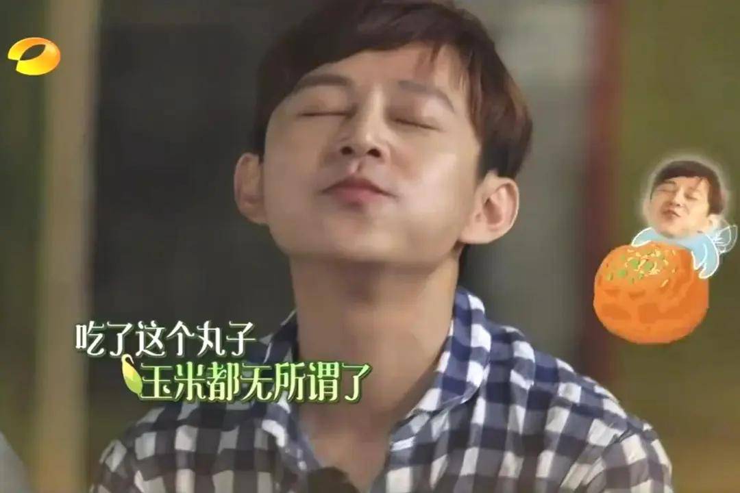黄磊做饭上热搜,水平被网友质疑,何炅也被玩梗,沈腾曾说出真话
