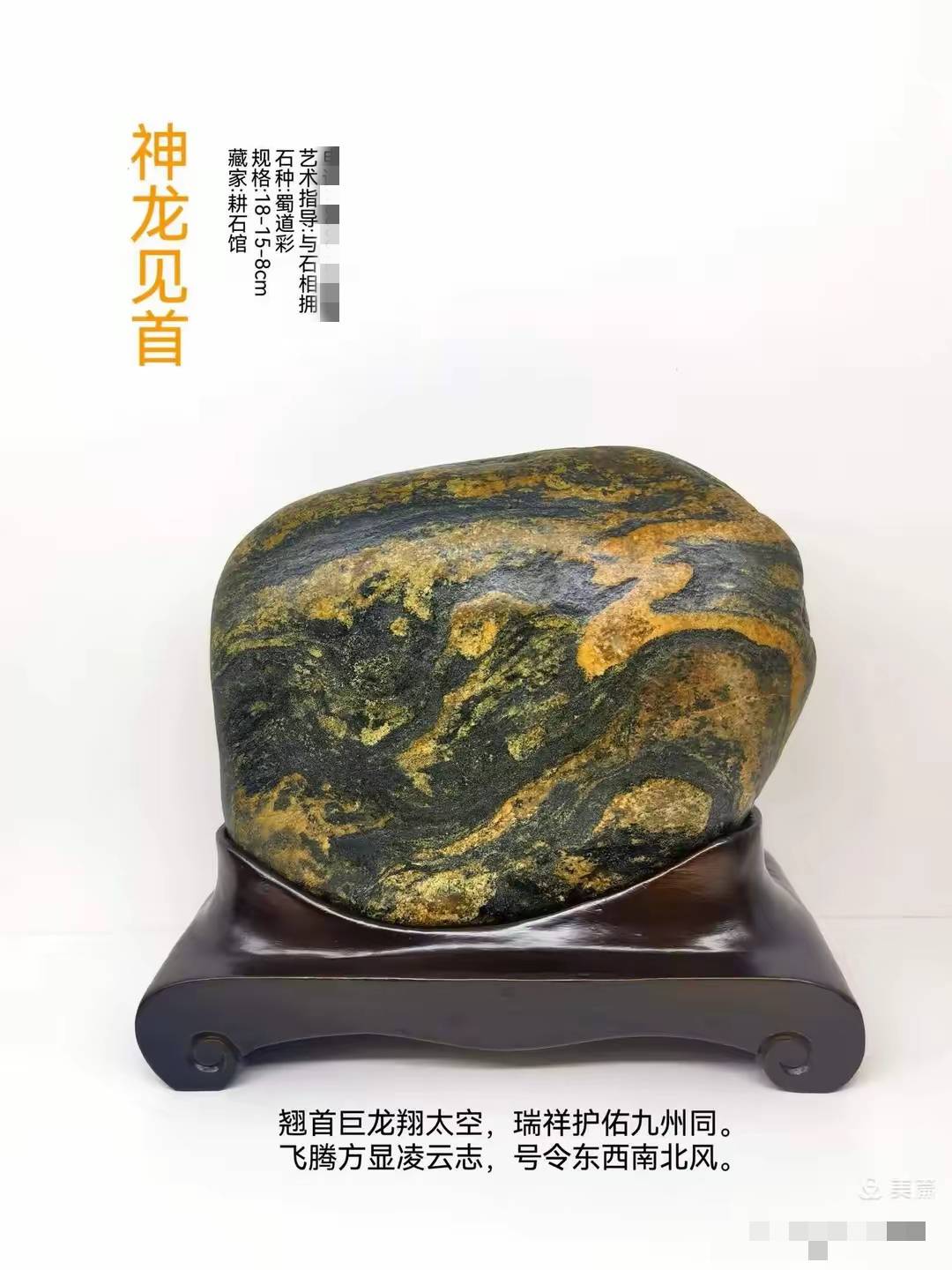 嘉陵彩石,璀璨的奇石文化底蕴