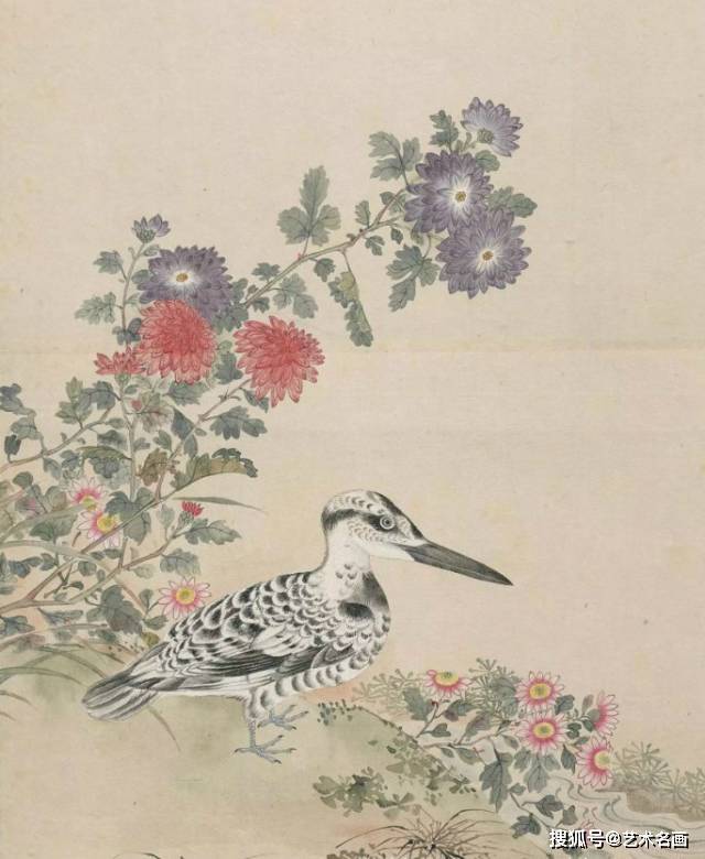 清代花鸟画的代表画家图片