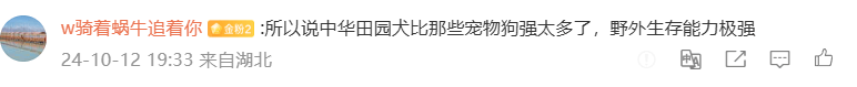 中华田园犬大战2米毒蛇保护110, 网友们赞声一片啊-中华田园犬凶不凶猛