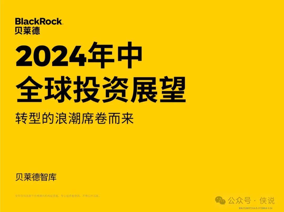 贝莱德：2024年中全球投资展望报告 