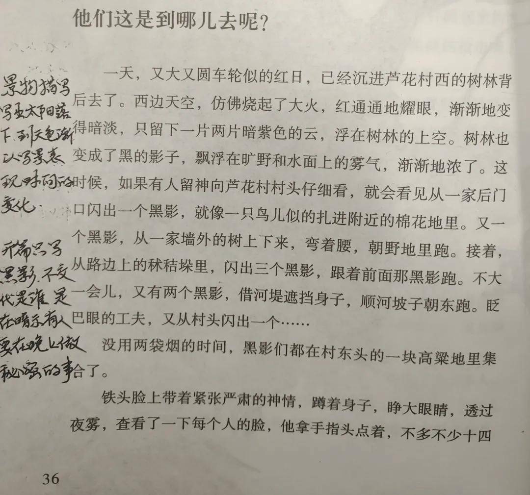《小英雄雨来》批注笔记12:他们这是到哪儿去呢?