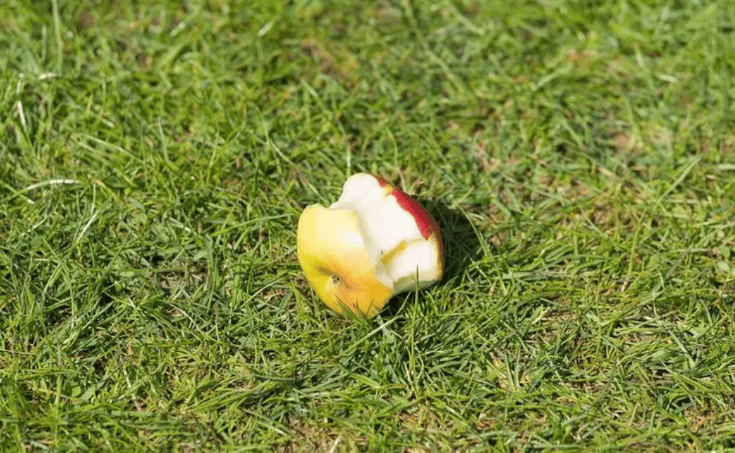 医生：以为很健康，实际有危害的4种水果，很多人都不知道-对身体有好处的水果