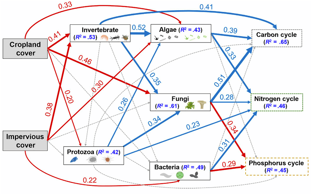 生物合作关系曲线图图片