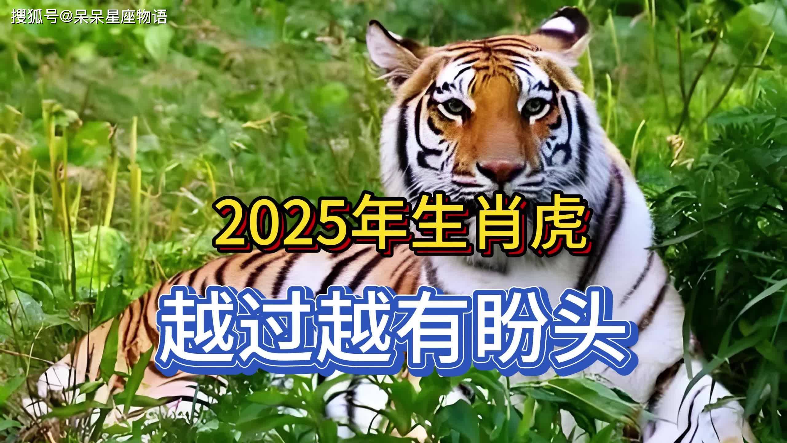 2025年生肖虎四月运势(2025年属虎的全年运势)