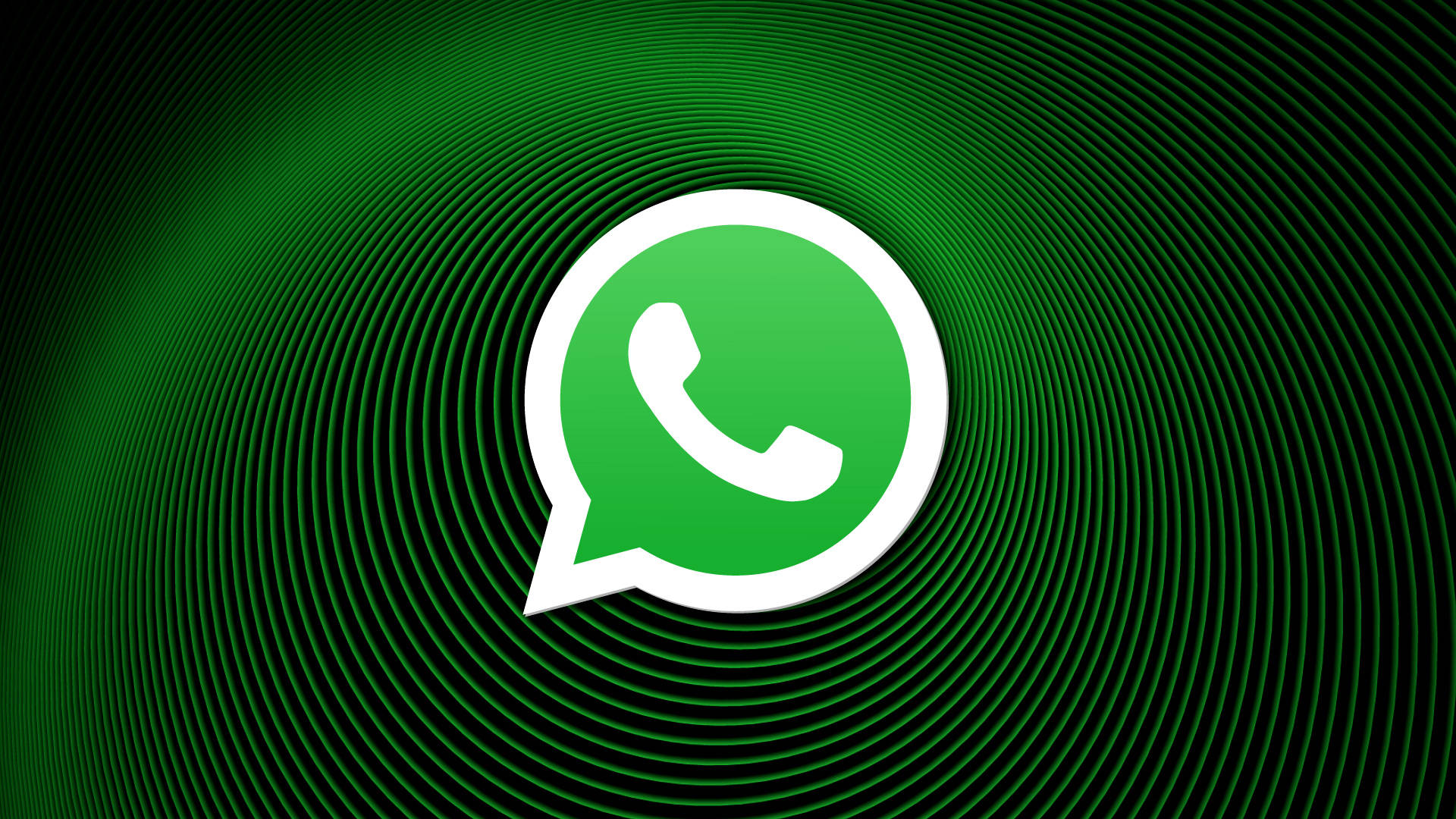 whatsapp筛号平台重要性与使用方法