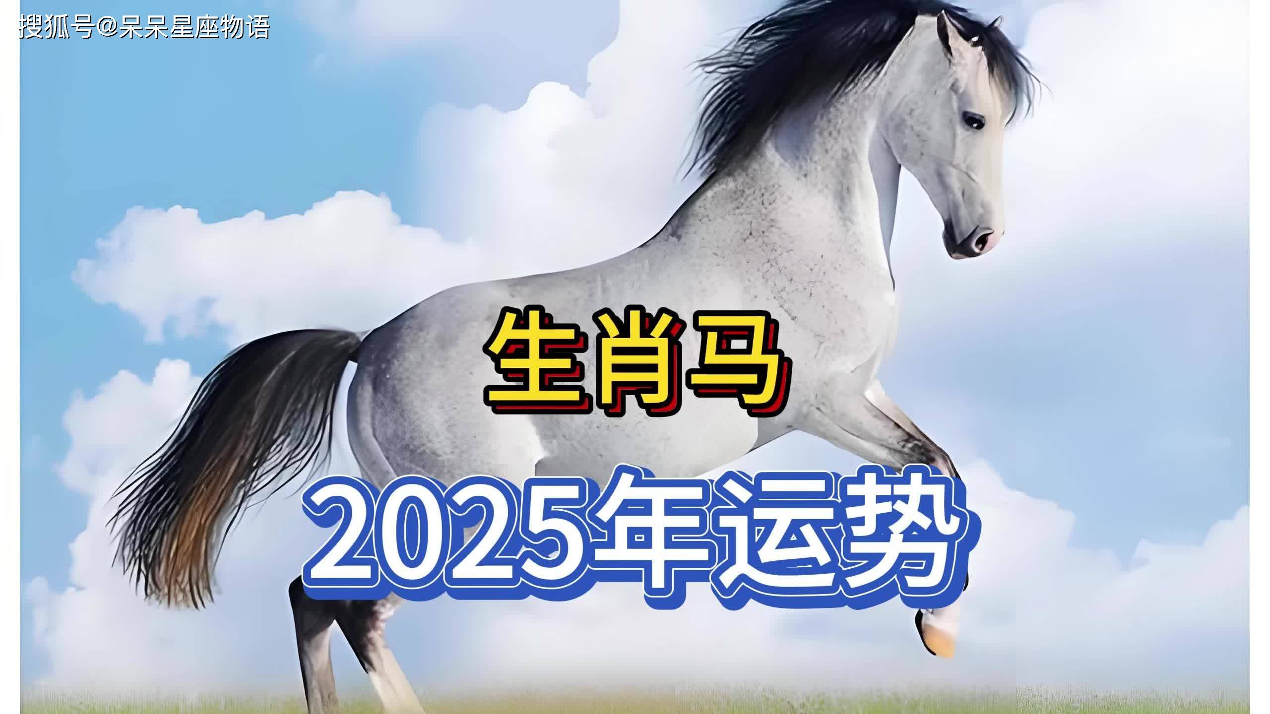19年5月11生肖马运势(属马生于五月十九)