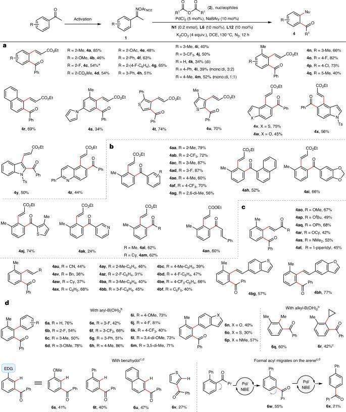 上海药物所/杭高院,新发nature synthesis!