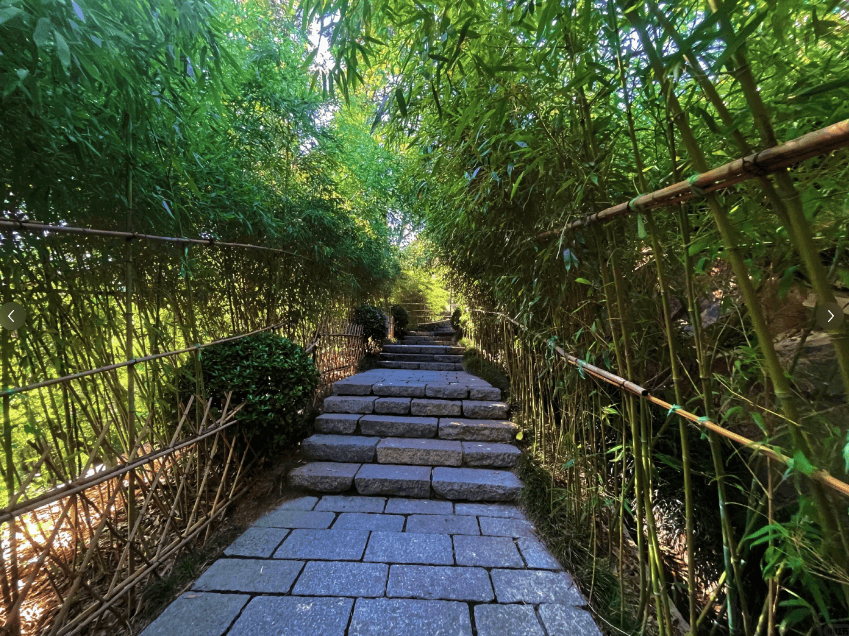 青岛避开人群的小众徒步景点——竹子庵公园打卡攻略_路线_银杏树_李沧区