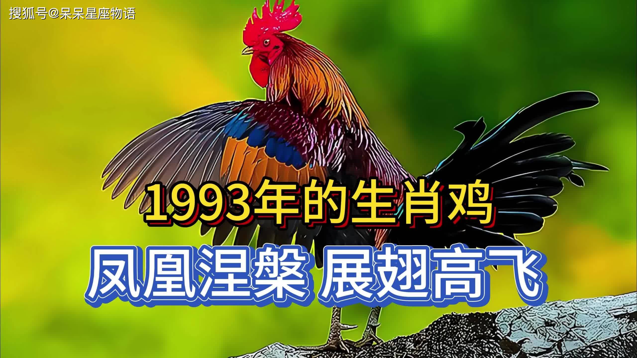生肖鸡下周运势96年(l969年鸡今年下半年财运如何?)