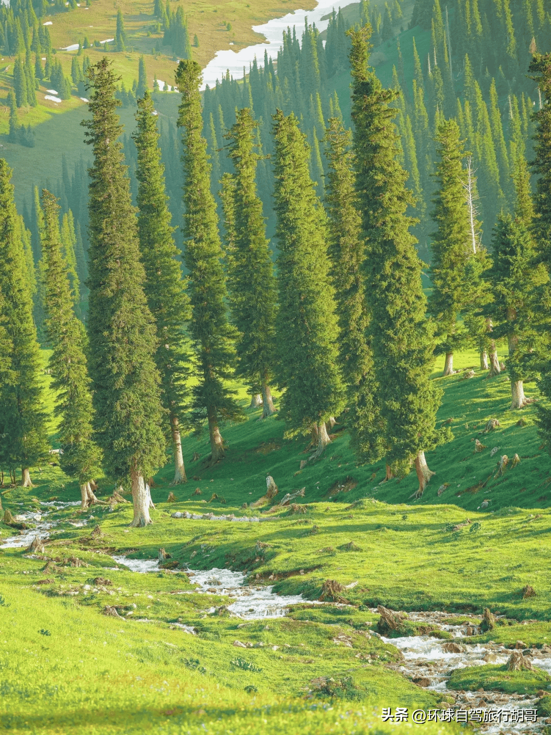 中国最美地方,新疆的九个风景区,去过三个算合格,你去过几个?