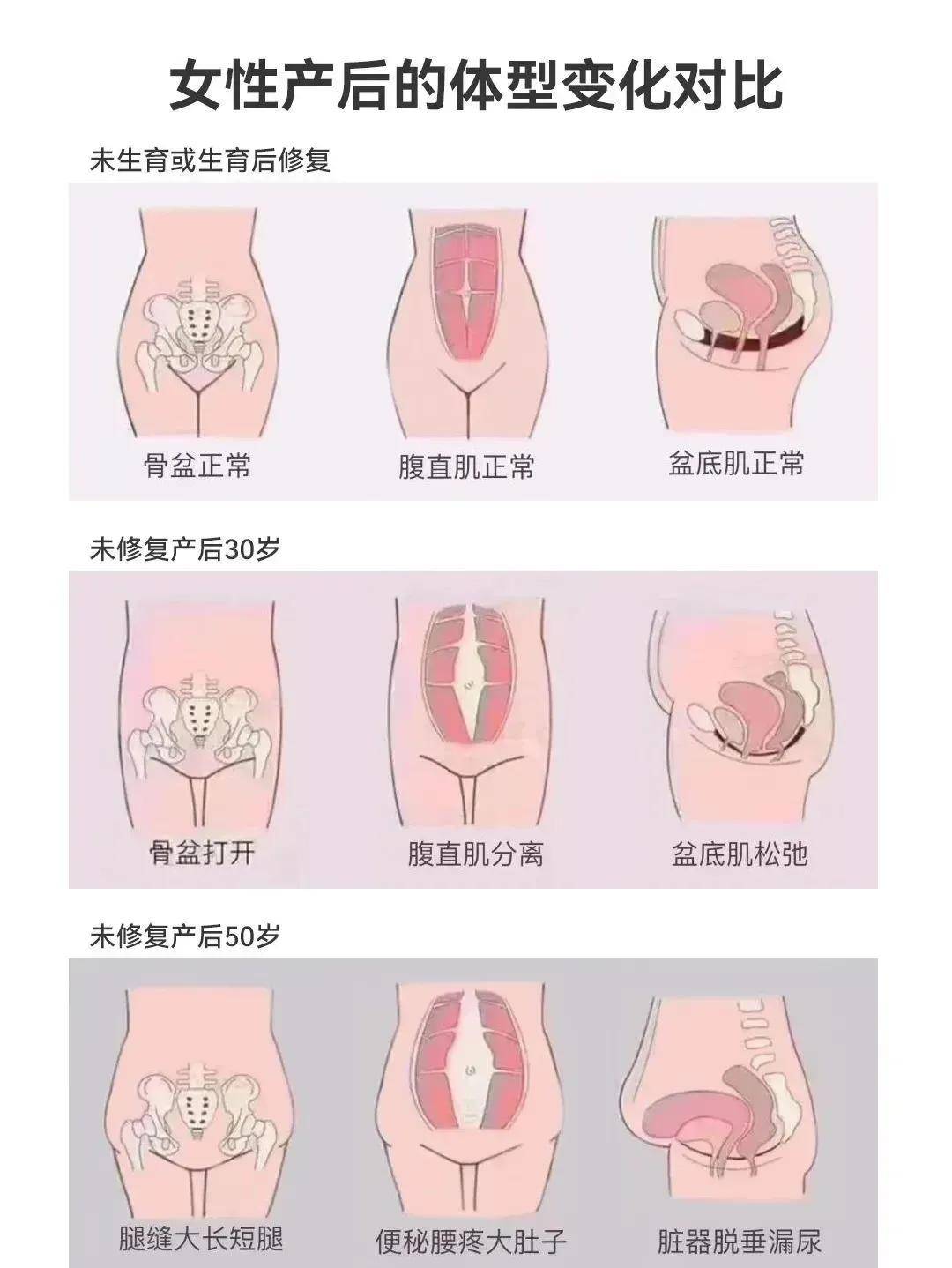 不同月份子宫位置图图片