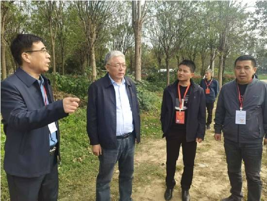 周口市川汇区政协开展农业特色产业发展情况专题视察活动