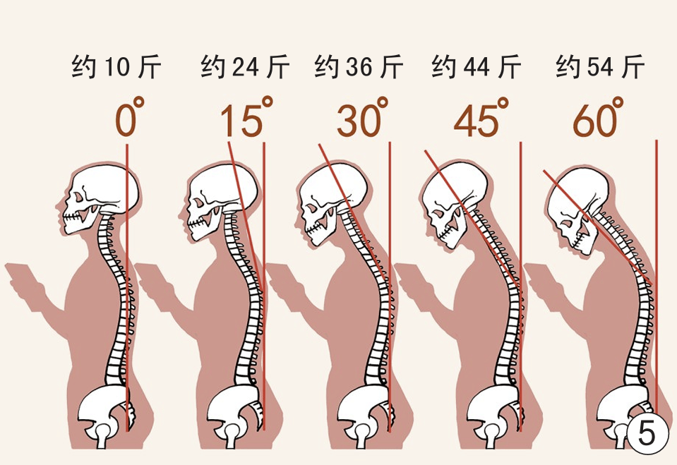 颈椎和肩椎的位置图片图片