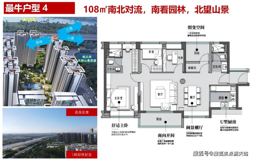 凤鸣长安简介图片