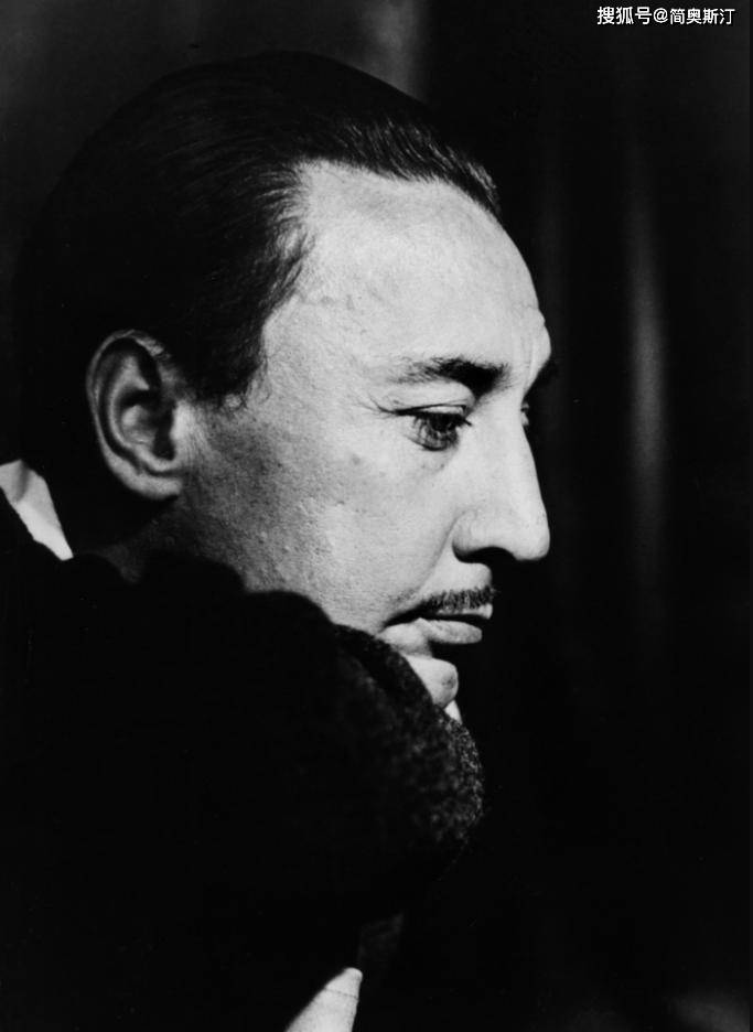 罗曼·加里和他的自传体小说《童年的许诺》