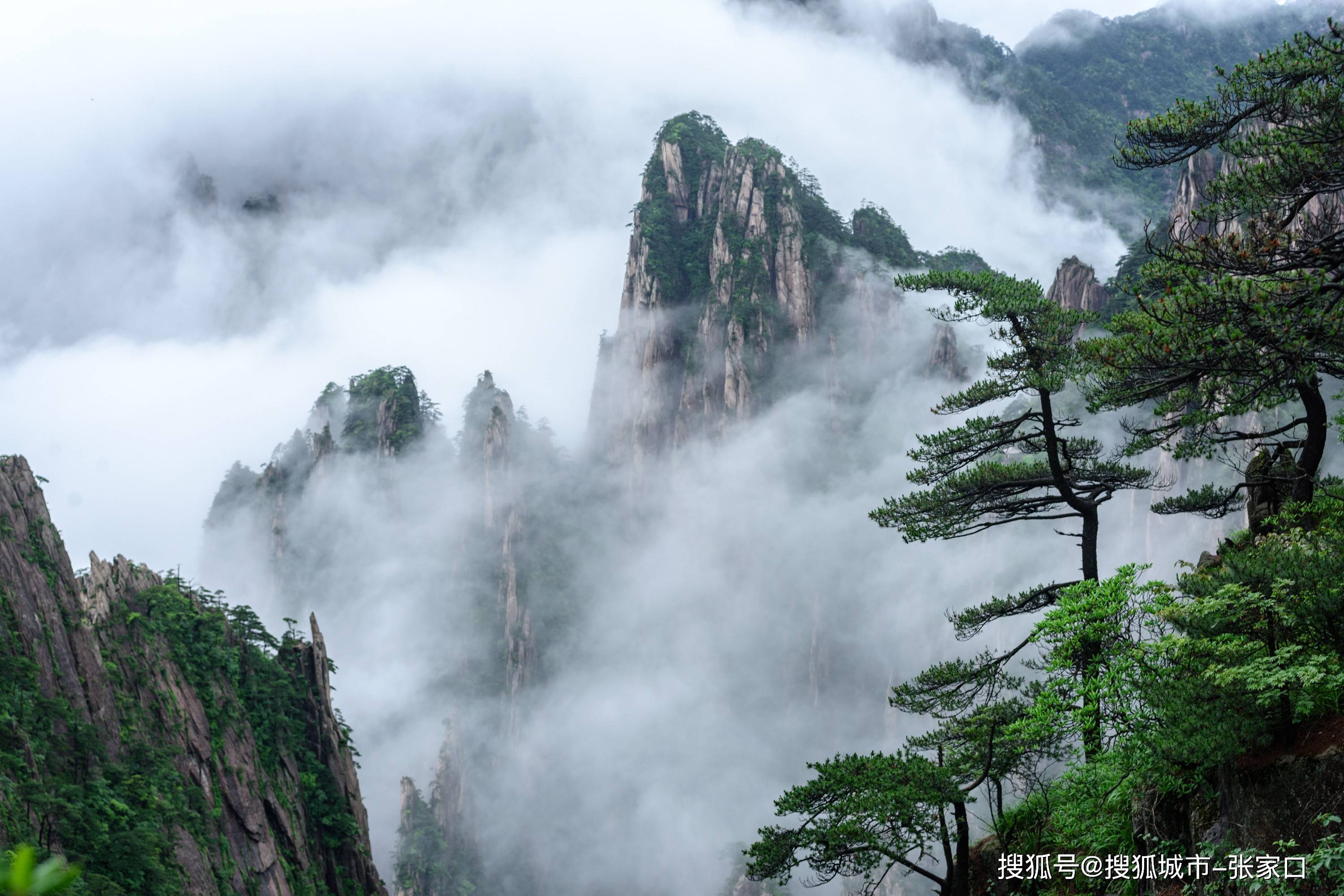 黄山照片大全图片图片