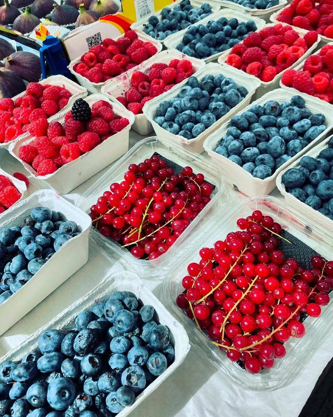 图片[7]-圣诞魔法之旅，冬日浪漫从这里开始！ -华闻时空