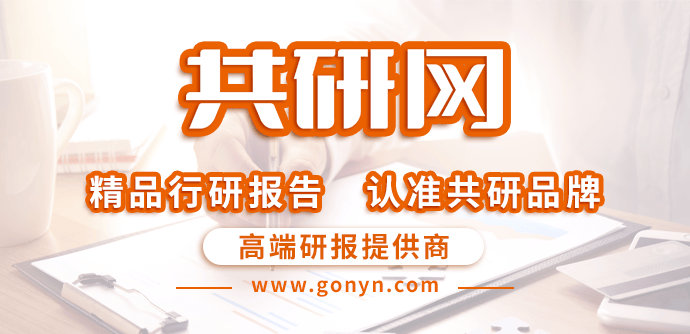 2024-2030年中国数字货运平台市场全景调查与行业前景预测报告