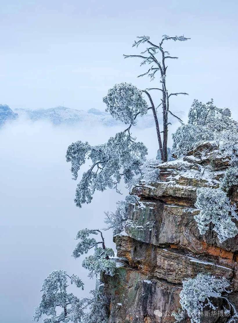 张家界雪景图片天子山图片